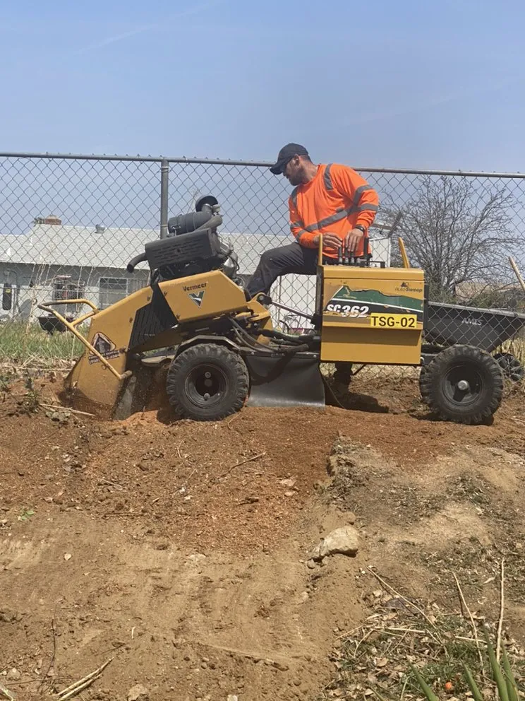 Trusted residential landscaping in Mira Loma, CA - Pinedo Tree Service