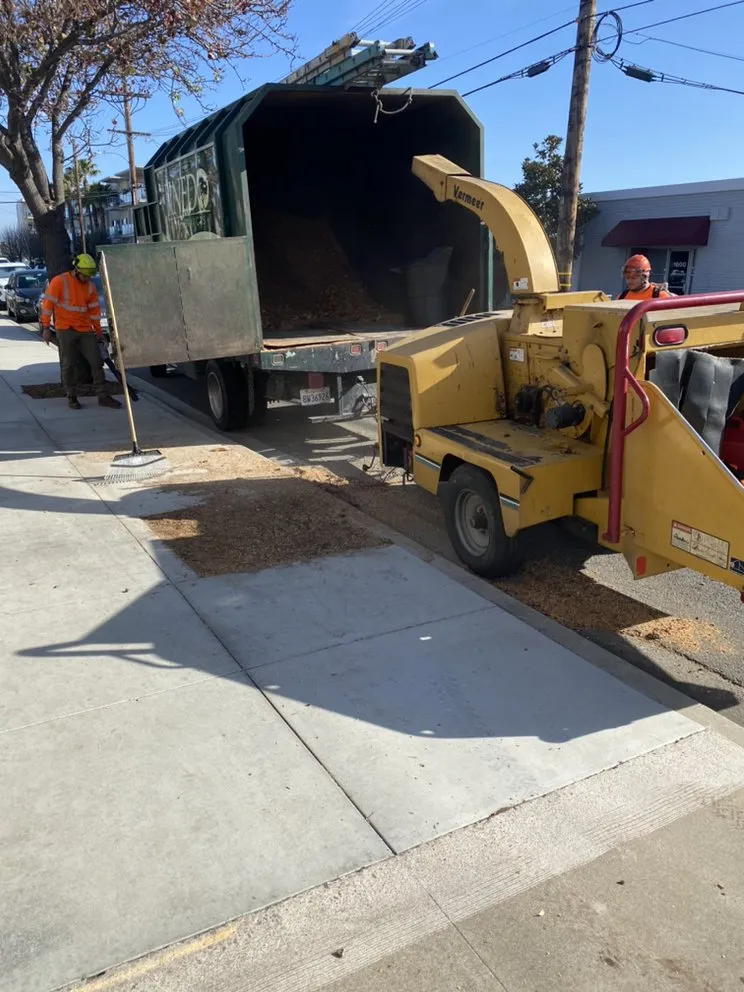 Local landscape installation in Mira Loma, CA - Pinedo Tree Service