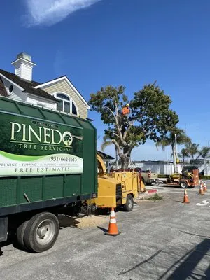 Pinedo Tree Service