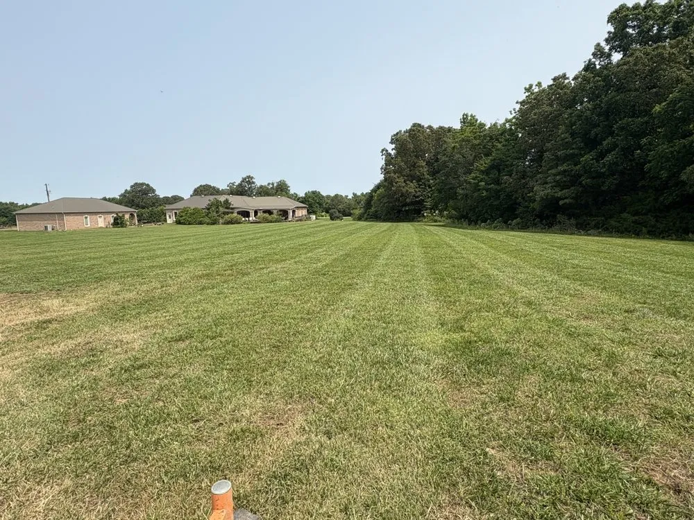 Top-rated yard cleanup service in Adamsville, TN by Pinehill Lawn Service