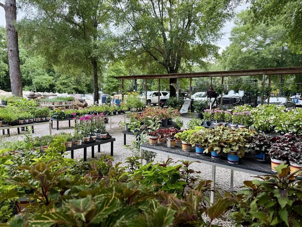 Reliable lawn care service in Milton, FL by Pinelands Nursery Company