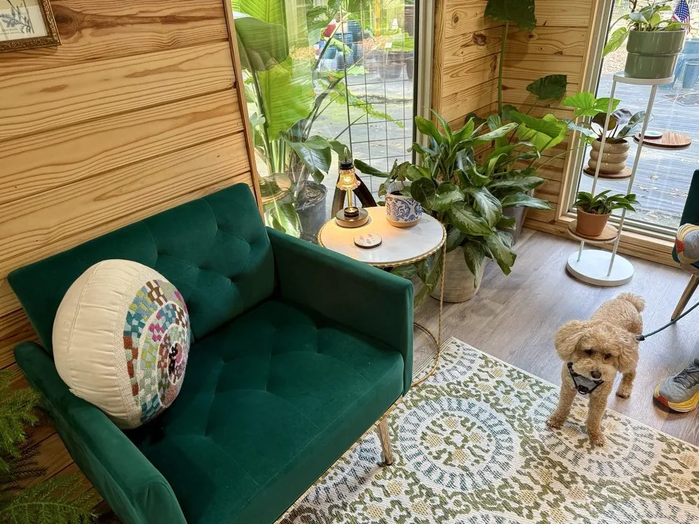 Top-rated outdoor landscaping experts serving Milton, FL - Pinelands Nursery Company