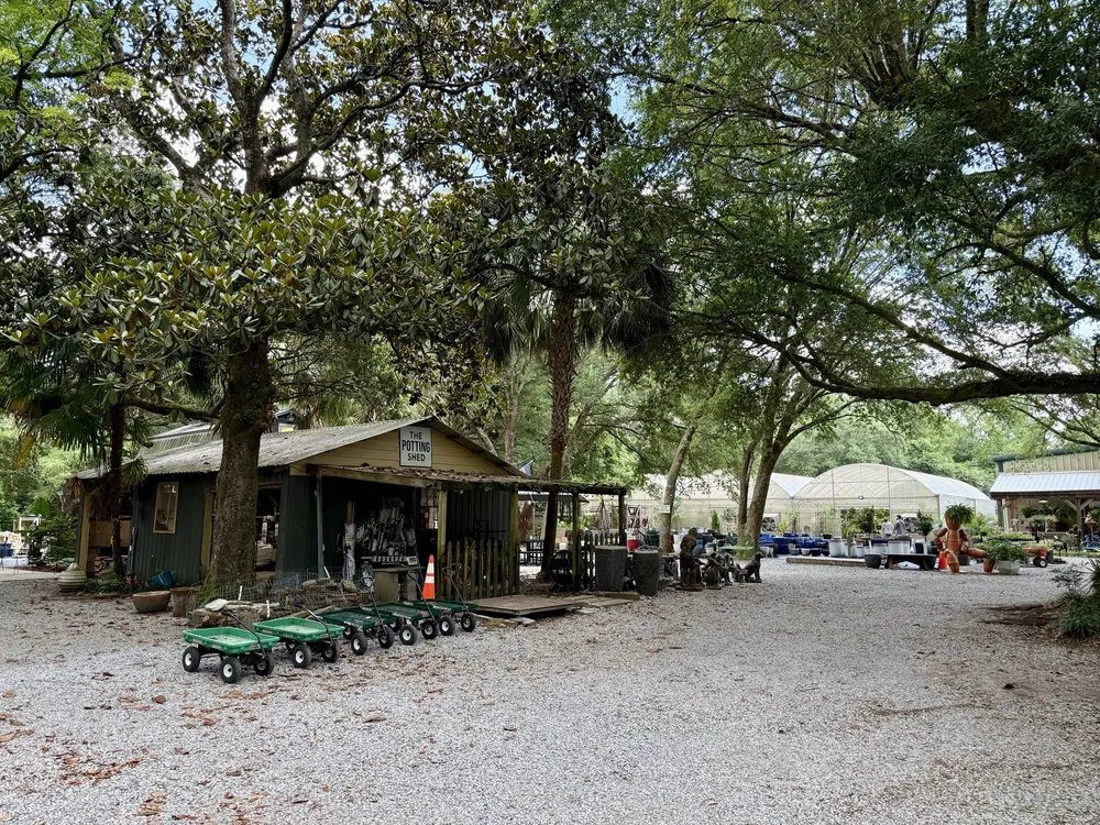 Professional yard maintenance in Milton, FL by Pinelands Nursery Company