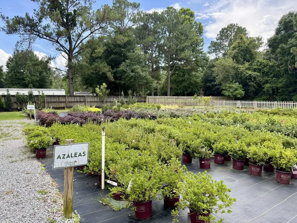 Local yard cleanup service with custom design in Milton, FL by Pinelands Nursery Company