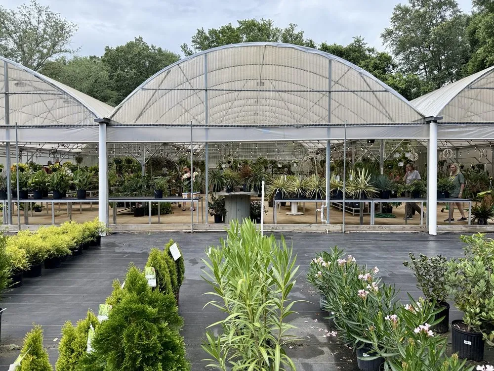 Expert outdoor landscaping in Milton, FL by Pinelands Nursery Company