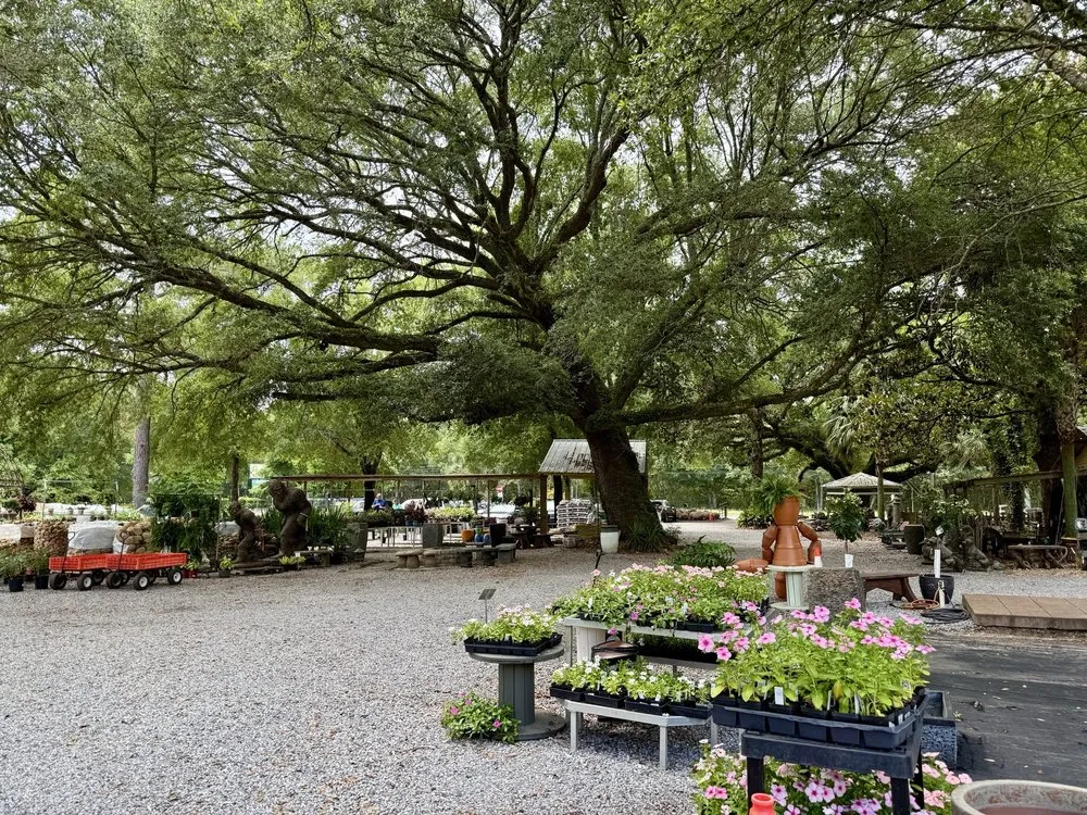 Top-rated lawn care service for residential properties across Milton, FL - Pinelands Nursery Company