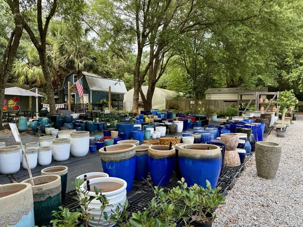Custom outdoor landscaping for beautiful yards across Milton, FL - Pinelands Nursery Company