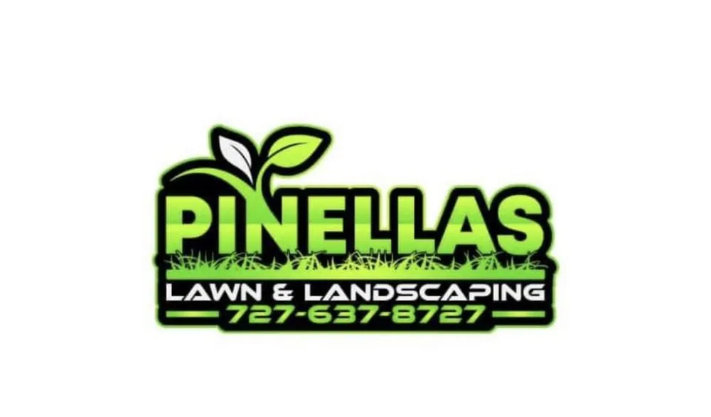 Top-rated yard cleanup service in Pinellas Park, FL - Pinellas Lawn & Landscaping