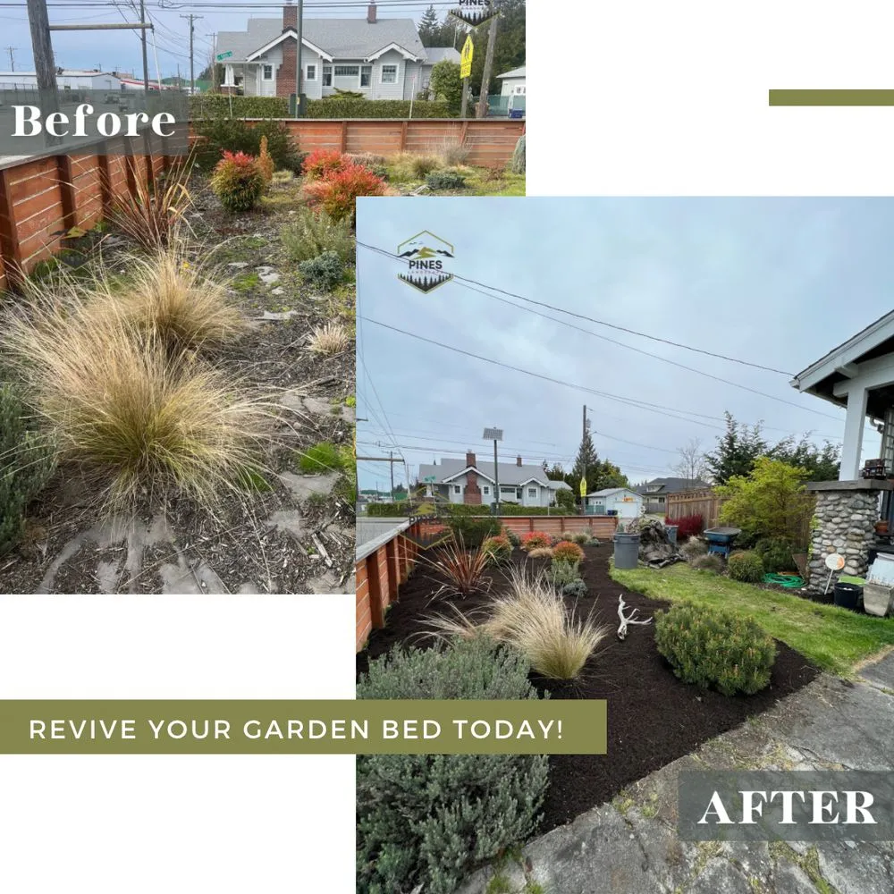 Top-rated lawn care service in Tacoma, WA by Pines Landscape