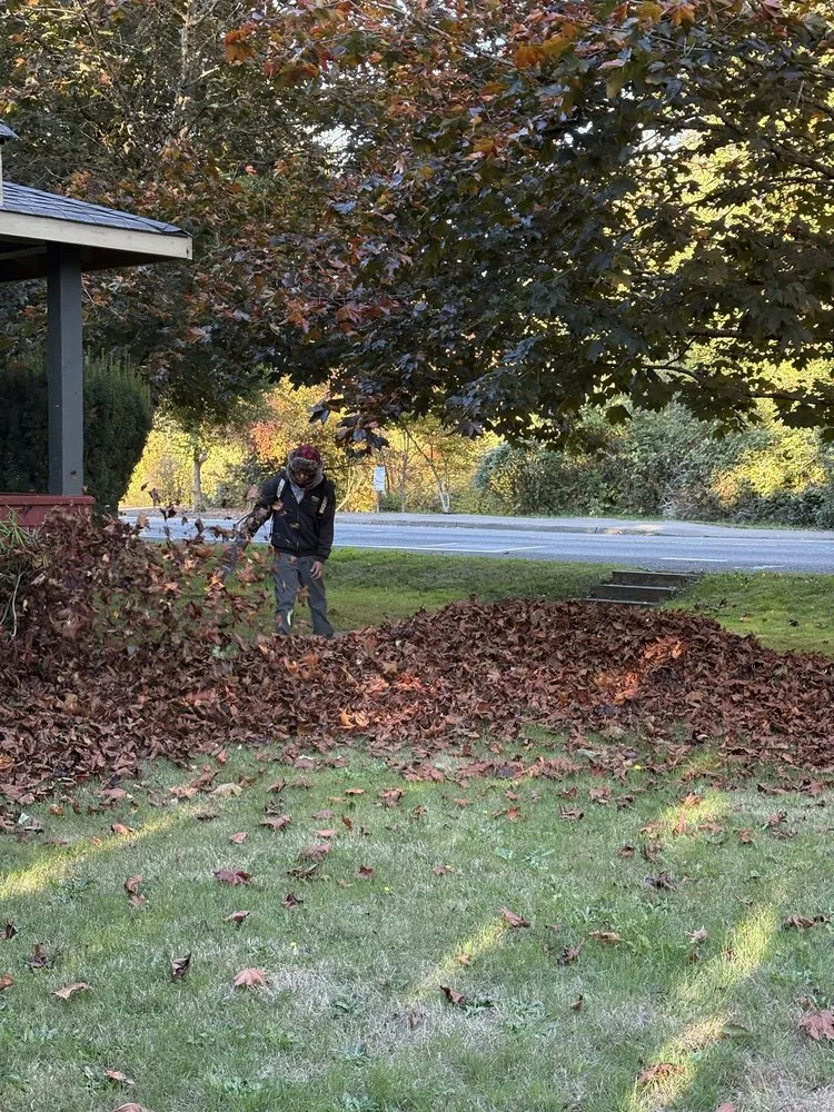 Expert landscape design in Tacoma, WA by Pines Landscape