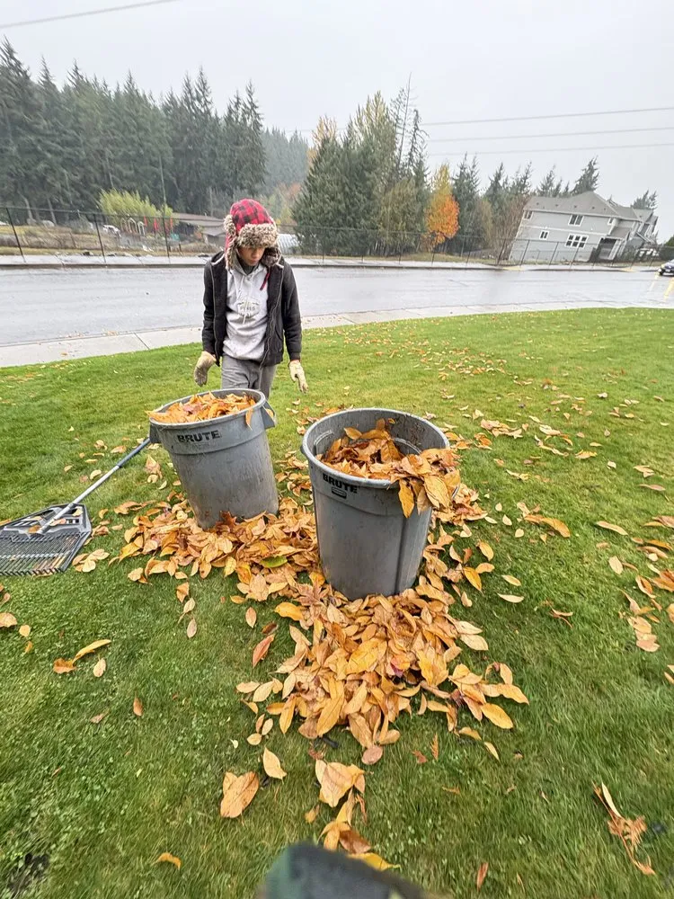 Affordable residential landscaping near you in Tacoma, WA by Pines Landscape