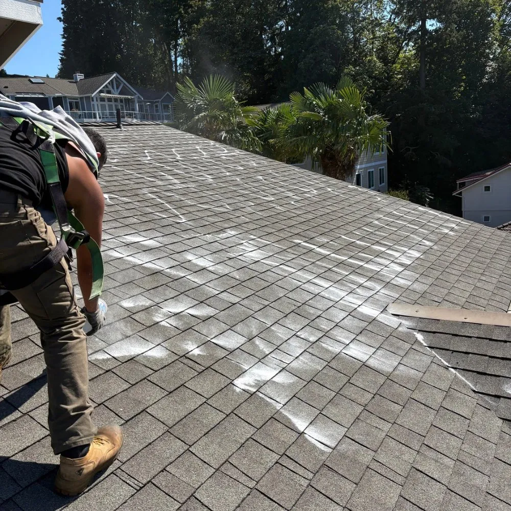 Trusted yard maintenance in Tacoma, WA by Pines Landscape