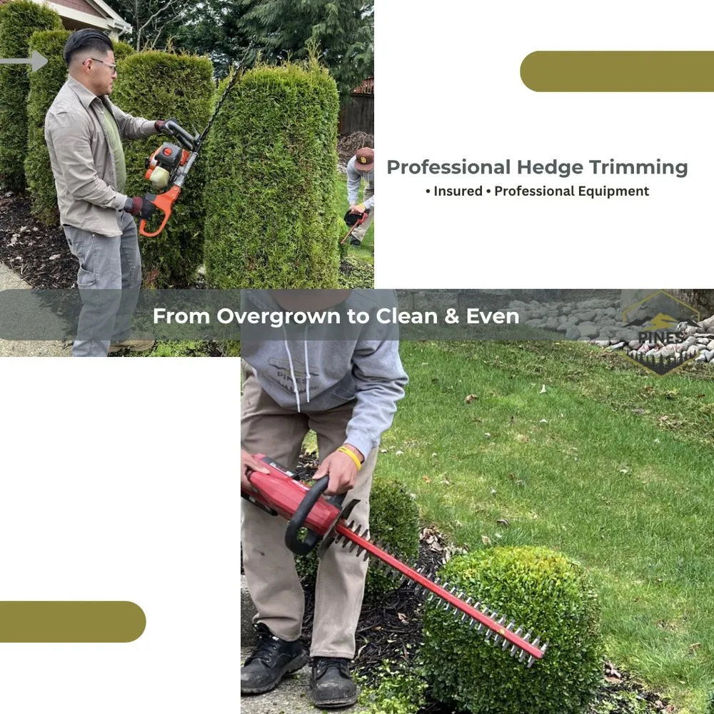 Custom residential landscaping in Tacoma, WA by Pines Landscape