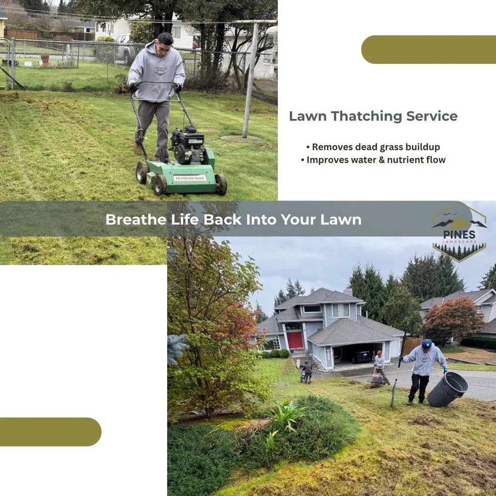 Professional residential landscaping experts serving Tacoma, WA - Pines Landscape