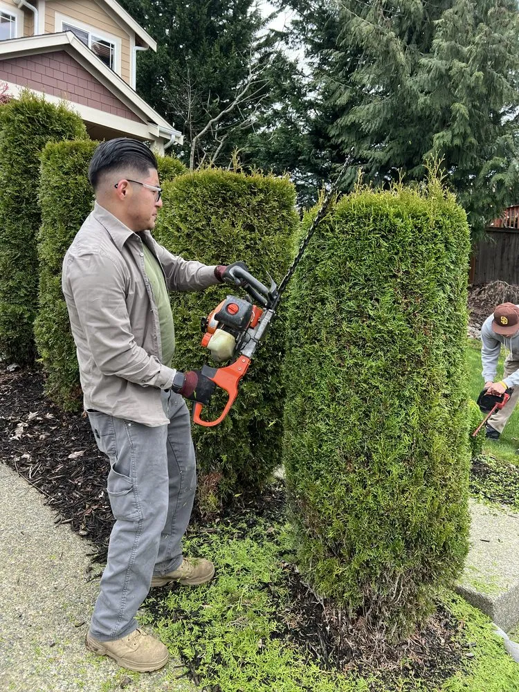 Expert landscape installation for year-round maintenance in Tacoma, WA by Pines Landscape