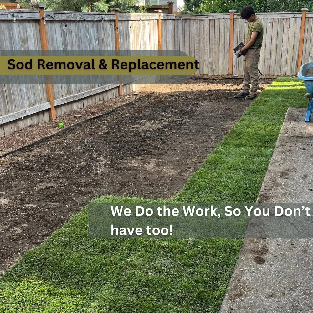 Custom landscape installation in Tacoma, WA - Pines Landscape