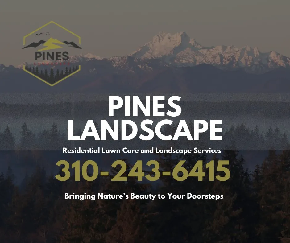 Local landscaping services in Tacoma, WA by Pines Landscape