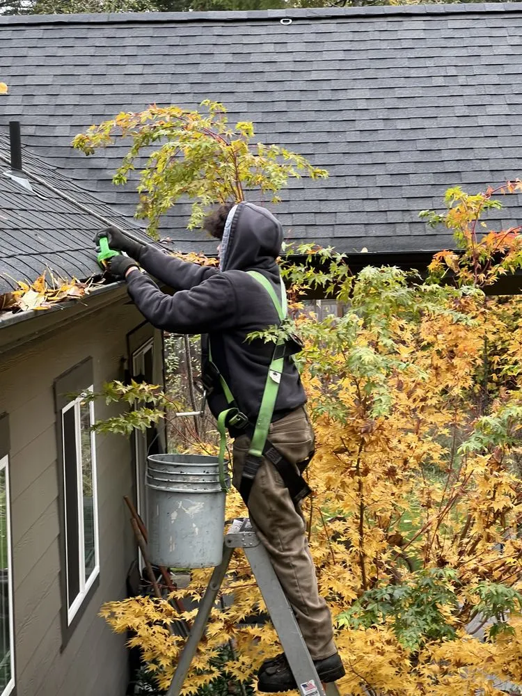 Trusted landscape design in Tacoma, WA by Pines Landscape