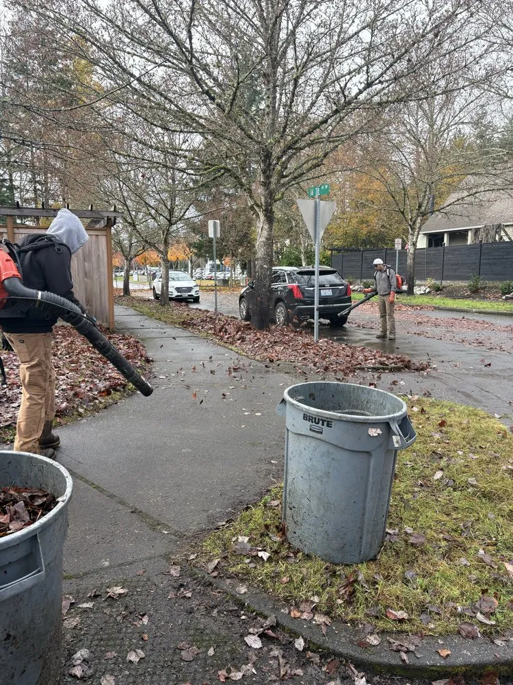 Affordable garden landscaping for beautiful yards in Tacoma, WA by Pines Landscape