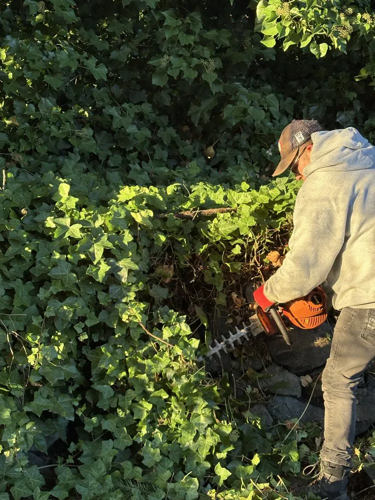 Professional landscaping services in Tacoma, WA - Pines Landscape