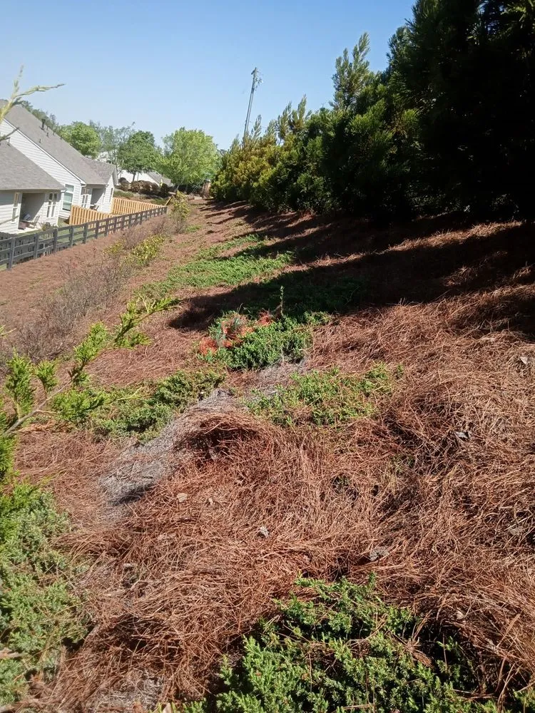 Expert landscape design in Chamblee, GA by Pinestraw & Mulch