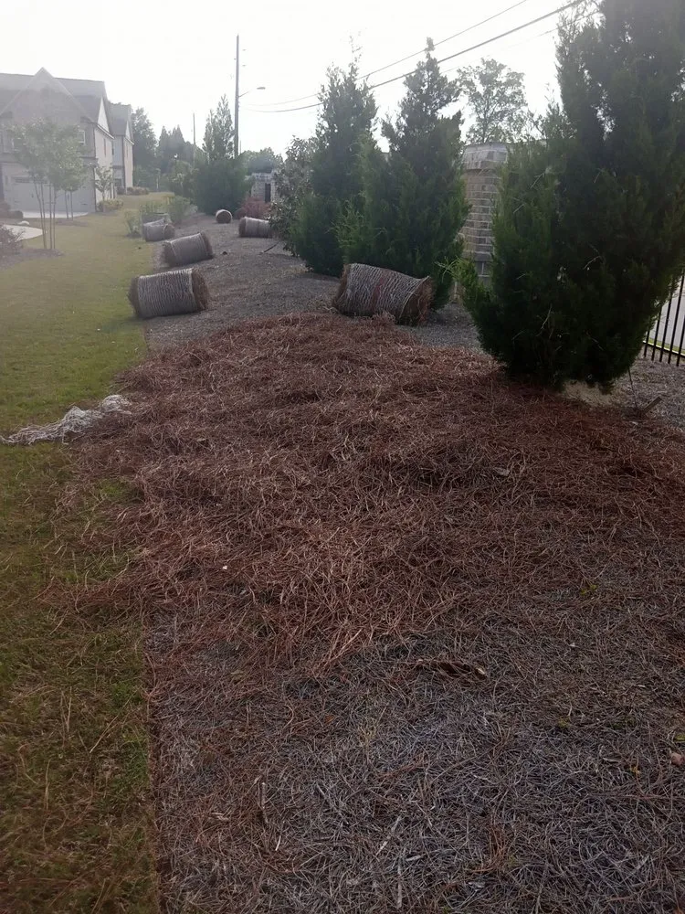 Expert yard maintenance with custom design across Chamblee, GA - Pinestraw & Mulch