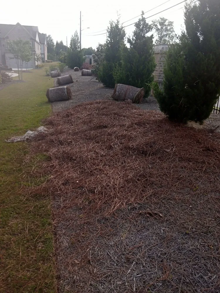 Affordable yard maintenance in Chamblee, GA - Pinestraw & Mulch
