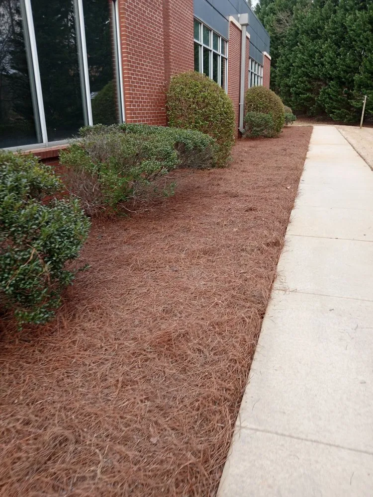 Top-rated landscape installation with custom design in Chamblee, GA by Pinestraw & Mulch