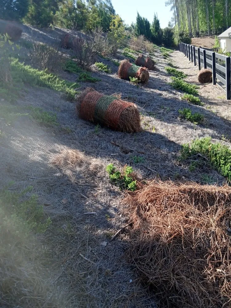 Custom residential landscaping for residential properties in Chamblee, GA by Pinestraw & Mulch