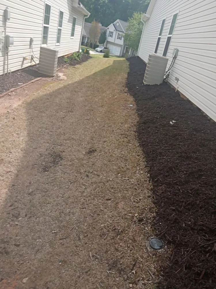 Affordable landscape installation in Chamblee, GA - Pinestraw & Mulch