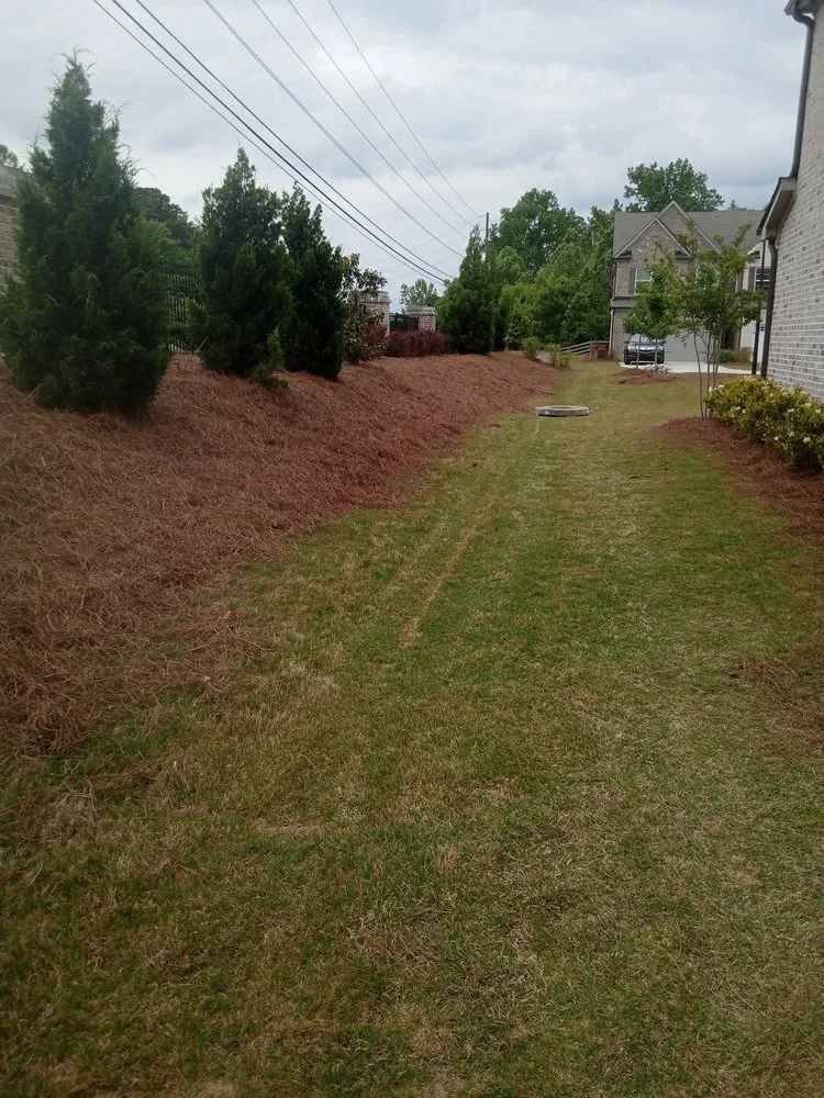 Reliable landscaping services in Chamblee, GA by Pinestraw & Mulch