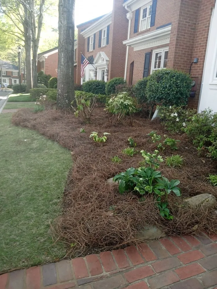 Affordable landscaping services for beautiful yards in Chamblee, GA by Pinestraw & Mulch