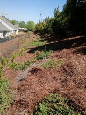 Pinestraw & Mulch