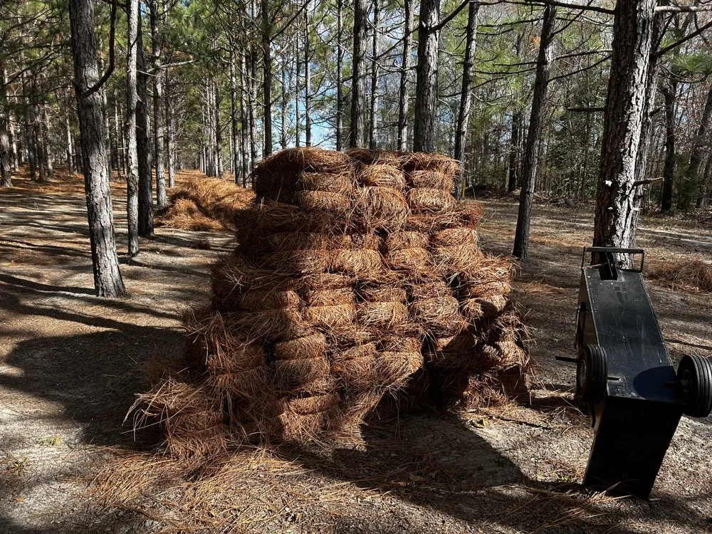 Professional landscape design with custom design across Camden, SC - Pinestraw Depot