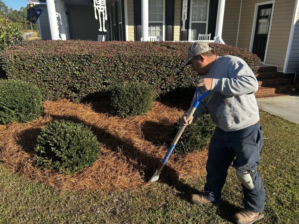 Local yard maintenance for homes in Camden, SC by Pinestraw Depot