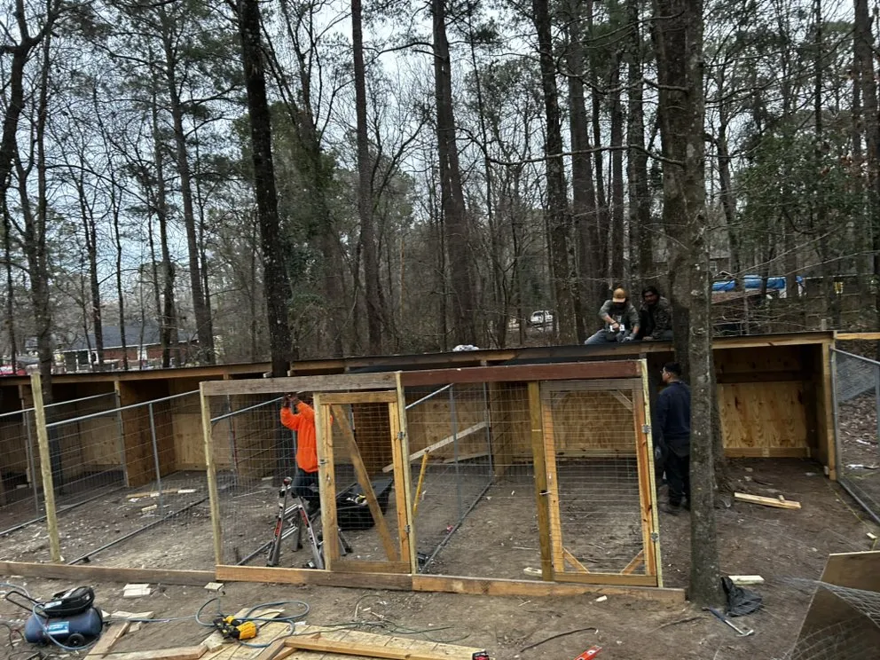 Top-rated landscaping services in Camden, SC by Pinestraw Depot