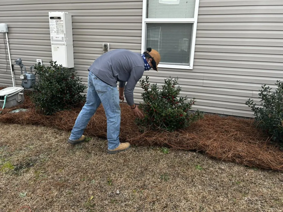 Professional residential landscaping experts serving Camden, SC - Pinestraw Depot