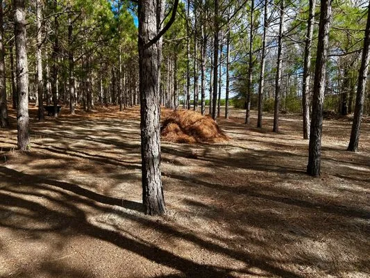 Pinestraw Depot Logo