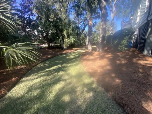 Pinestraw services Logo