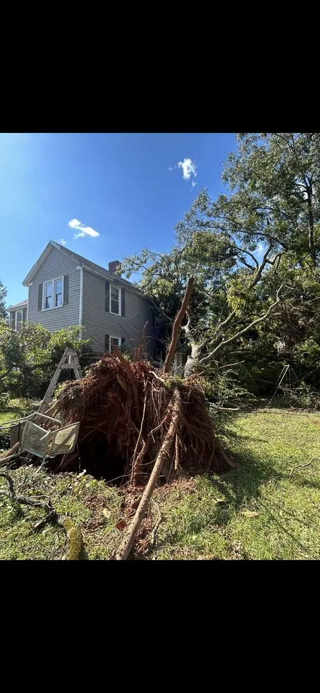 Expert landscape installation in Prosperity, SC - Pinewood Hardscape