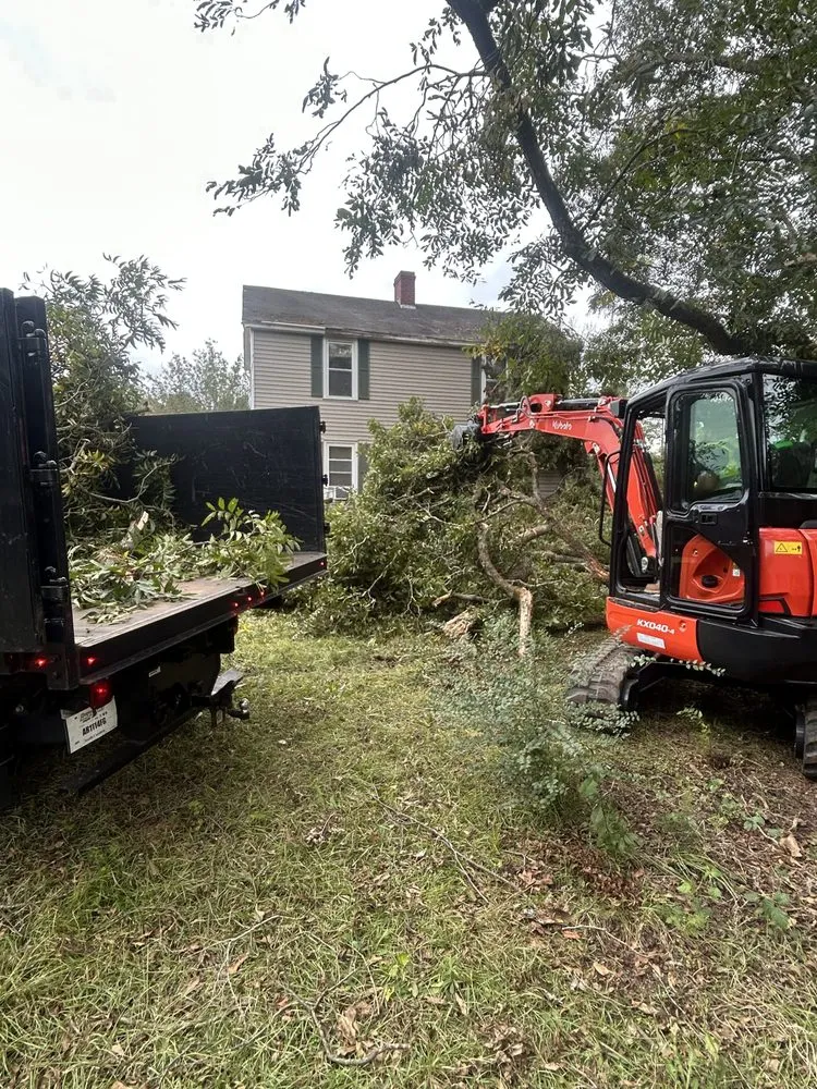 Reliable yard cleanup service experts serving Prosperity, SC - Pinewood Hardscape