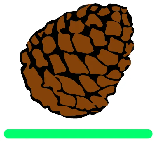 Local yard cleanup service near you across Parker, CO - Piney Creek Planters