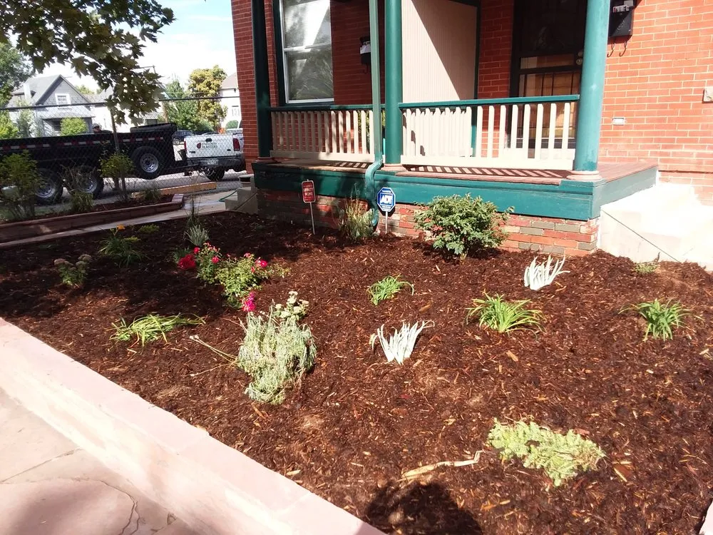 Custom residential landscaping for year-round maintenance across Parker, CO - Piney Creek Planters