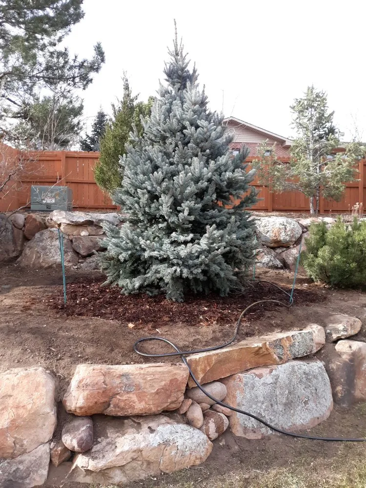 Expert landscape installation for residential properties in Parker, CO by Piney Creek Planters
