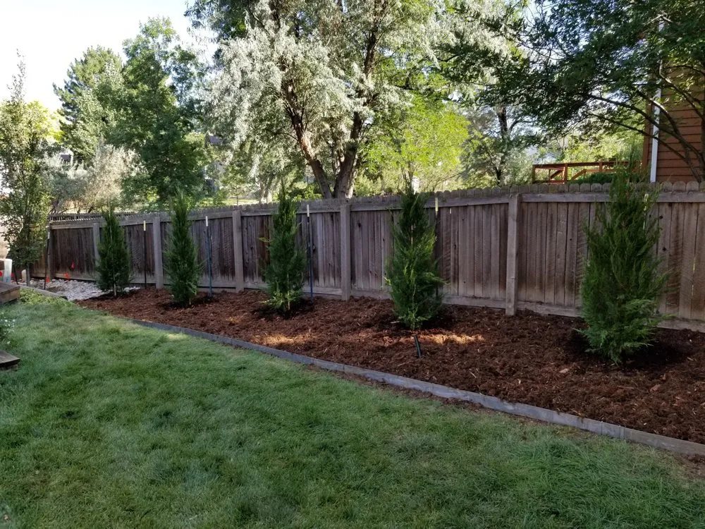 Top-rated outdoor landscaping in Parker, CO by Piney Creek Planters