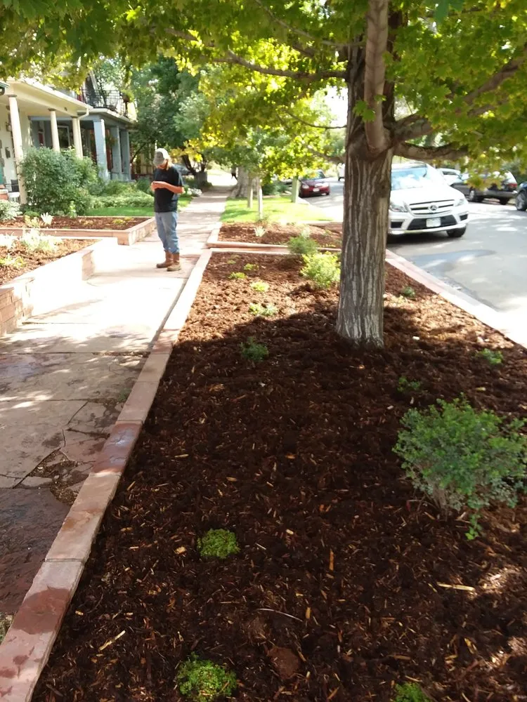Local lawn care service in Parker, CO by Piney Creek Planters