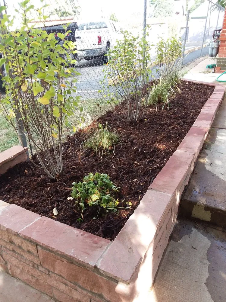 Top-rated outdoor landscaping in Parker, CO - Piney Creek Planters