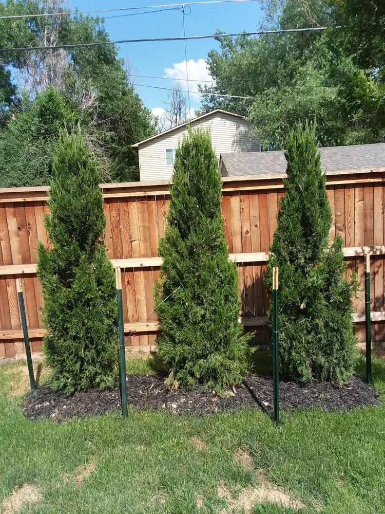Reliable landscaping services experts serving Parker, CO - Piney Creek Planters