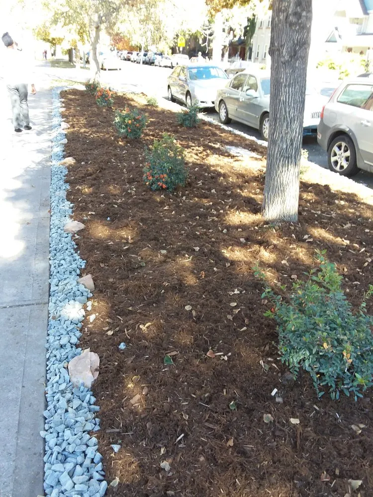 Custom lawn care service for beautiful yards in Parker, CO by Piney Creek Planters