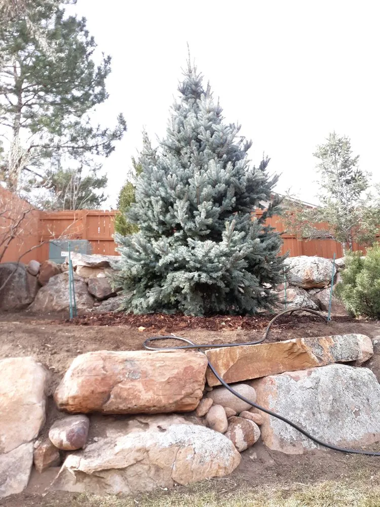 Local outdoor landscaping in Parker, CO by Piney Creek Planters